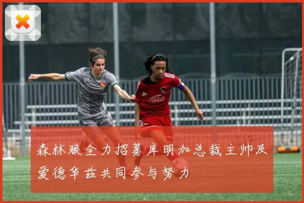森林狼全力招募库明加总裁主帅及爱德华兹共同参与努力