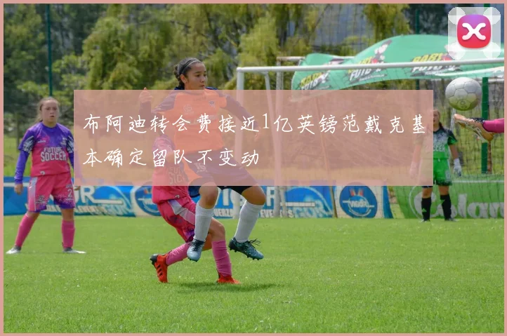 布阿迪转会费接近1亿英镑范戴克基本确定留队不变动