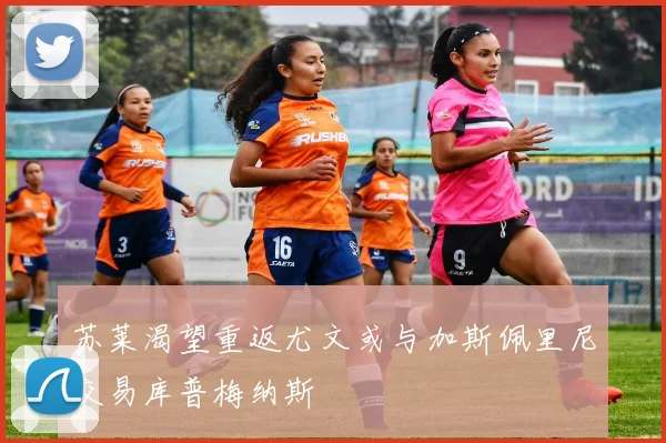 苏莱渴望重返尤文或与加斯佩里尼交易库普梅纳斯